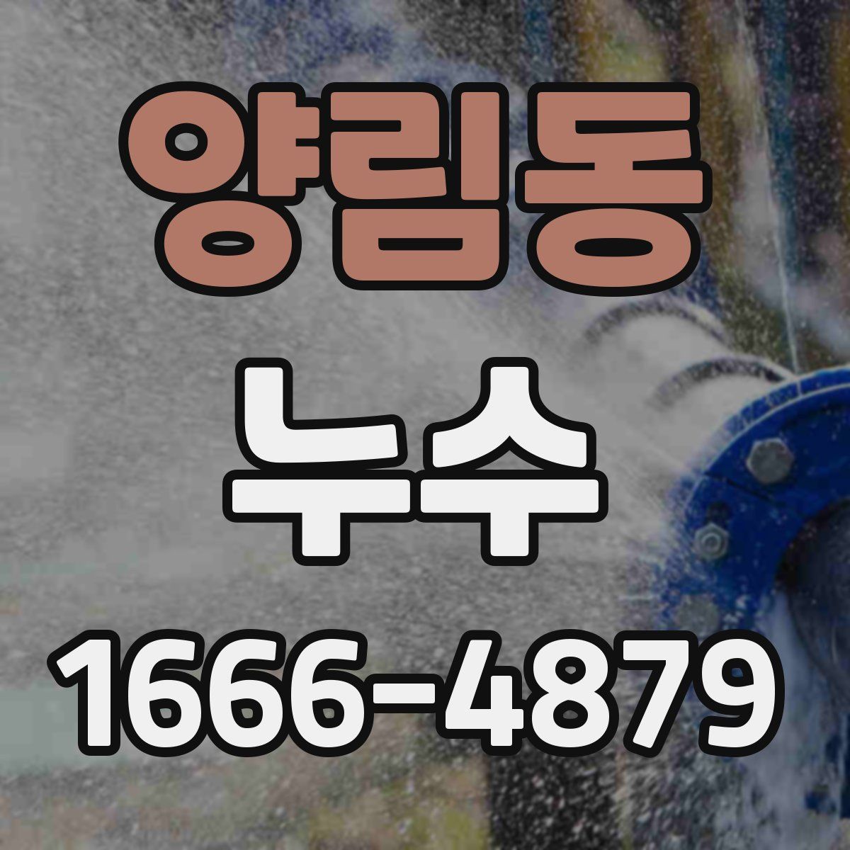 양림동 누수