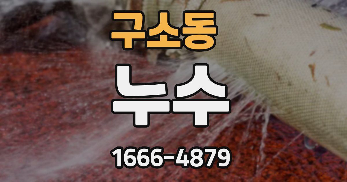 구소동 누수
