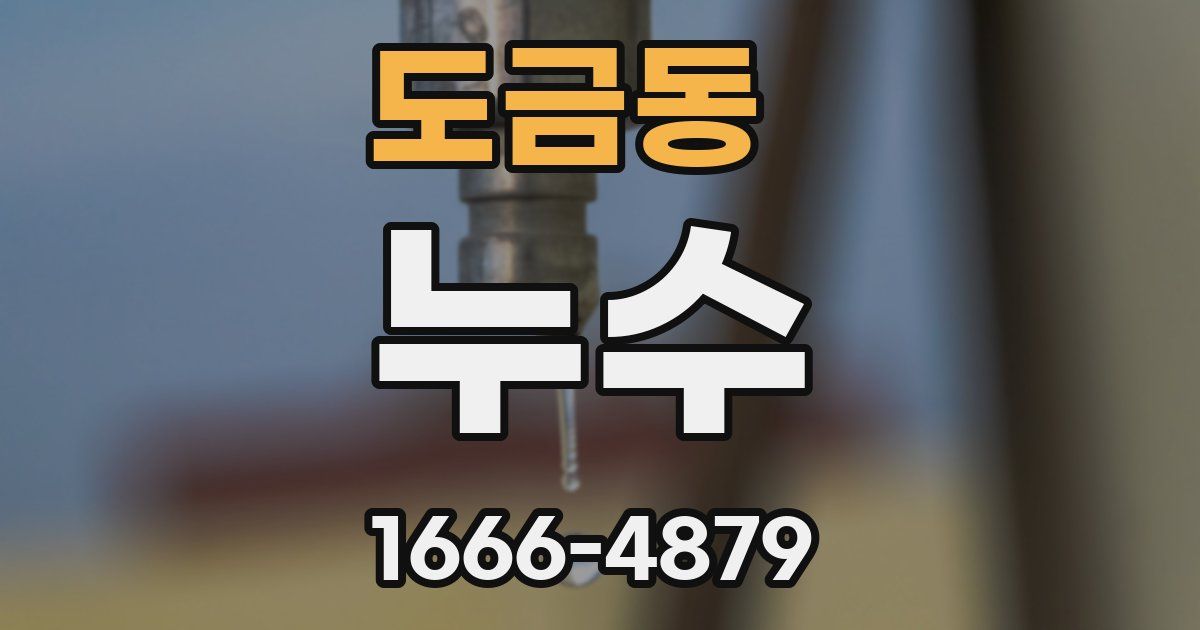 도금동 누수