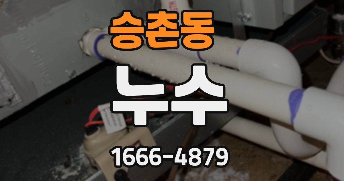 승촌동 누수