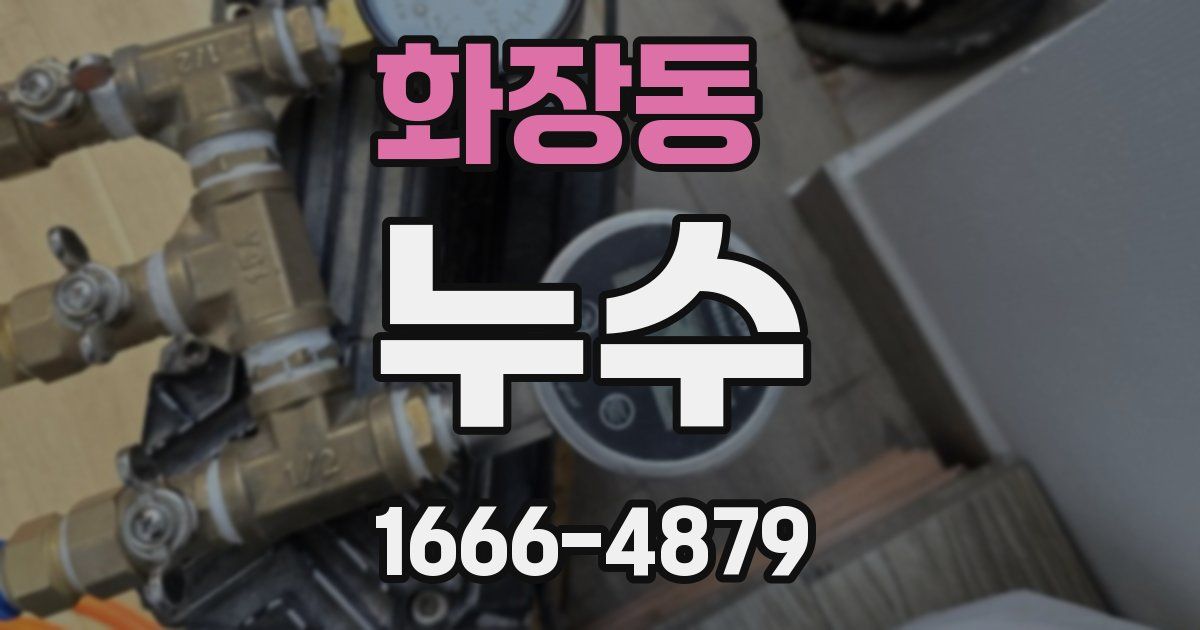 화장동 누수