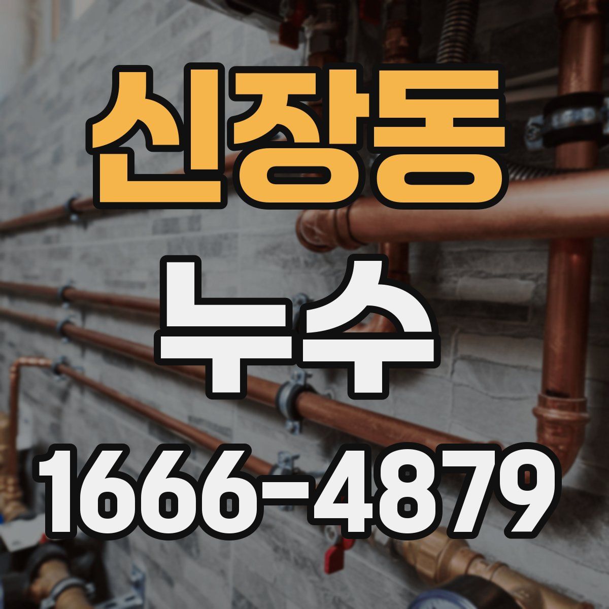신장동 누수
