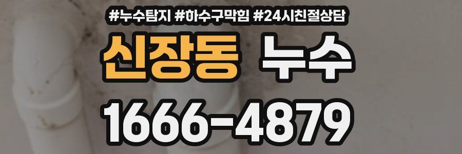 신장동 누수