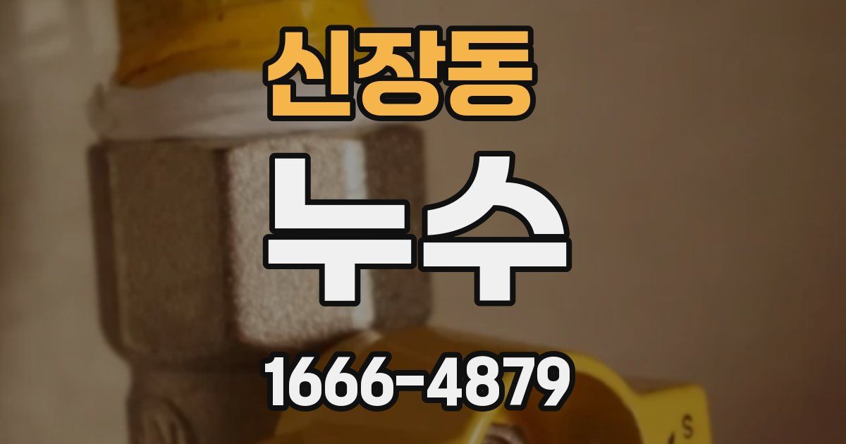 신장동 누수