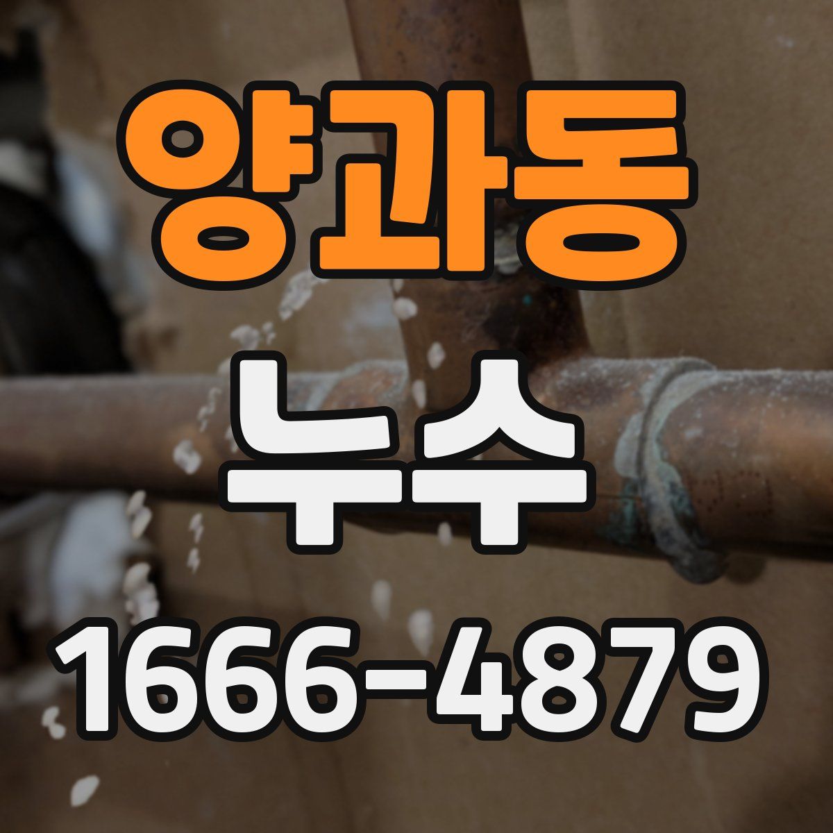 양과동 누수