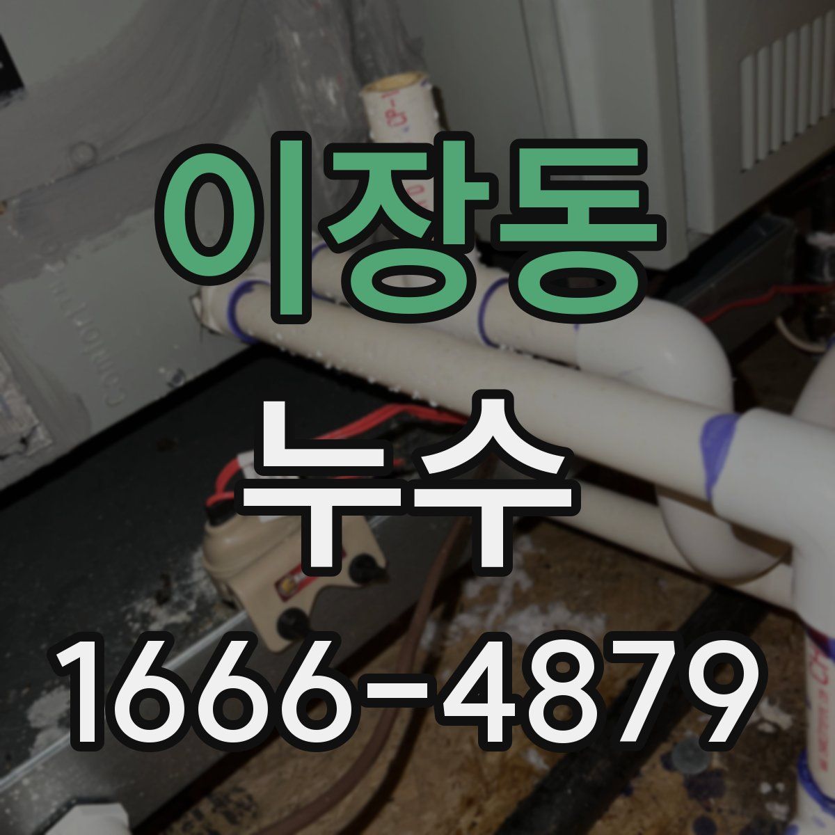 이장동 누수