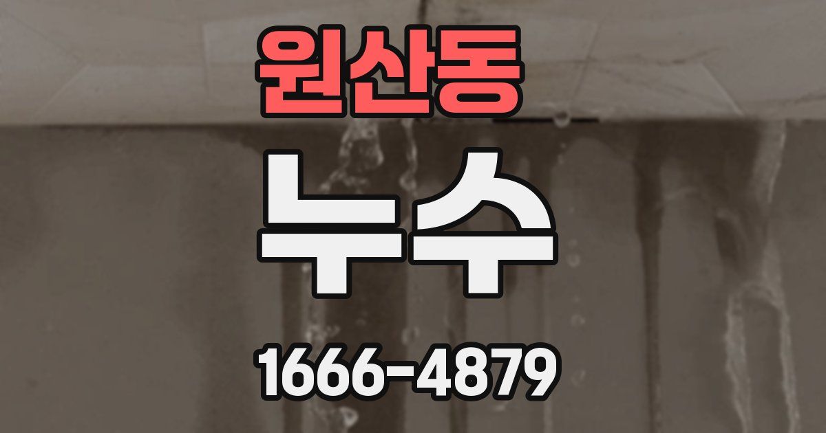 원산동 누수