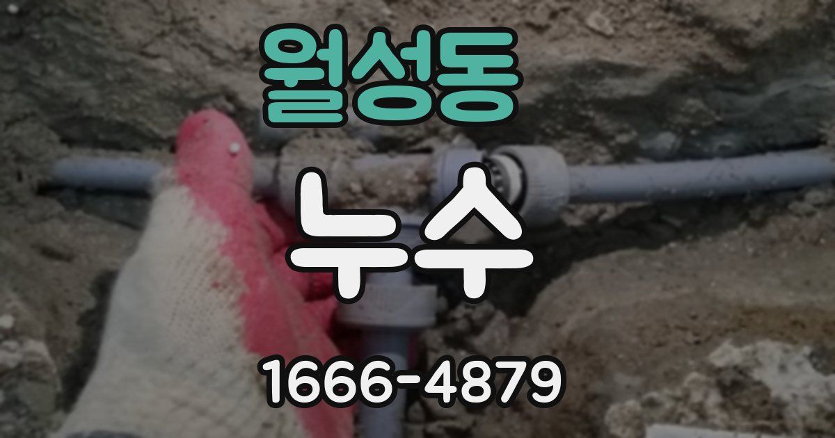 월성동 누수