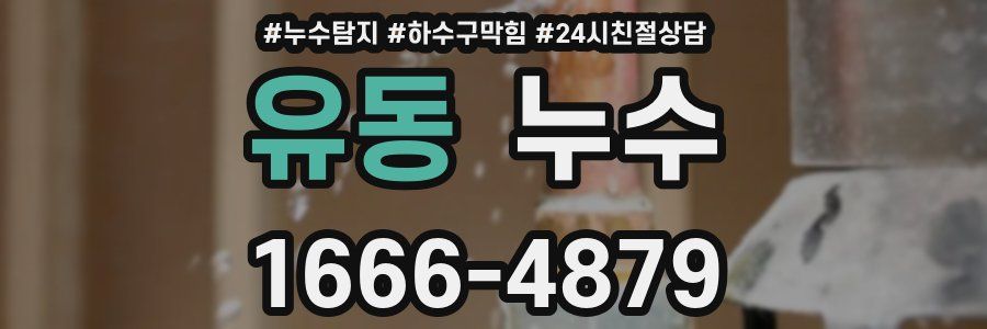 유동 누수