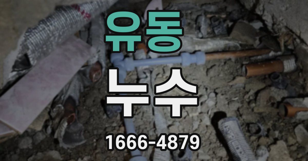 유동 누수