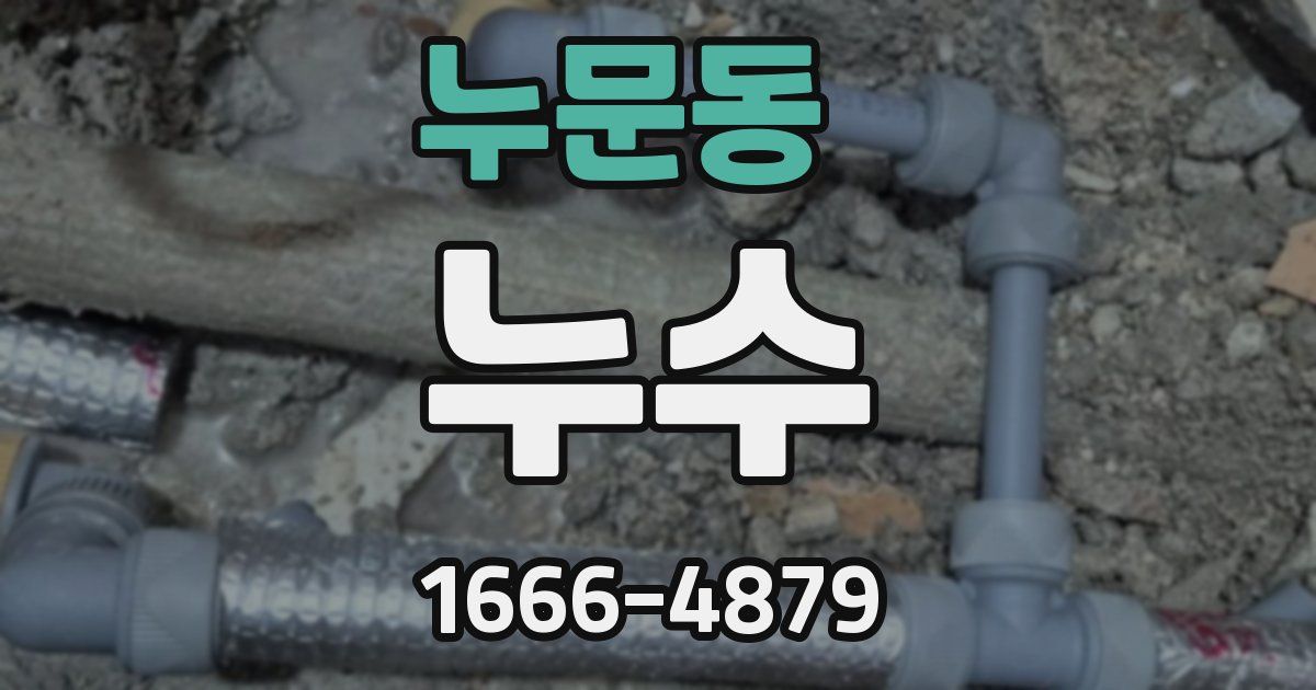 누문동 누수
