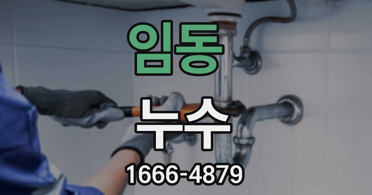 임동 누수