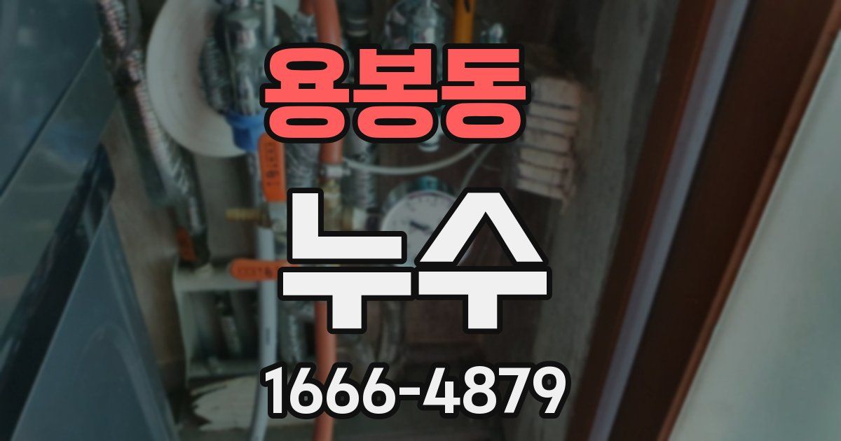 용봉동 누수