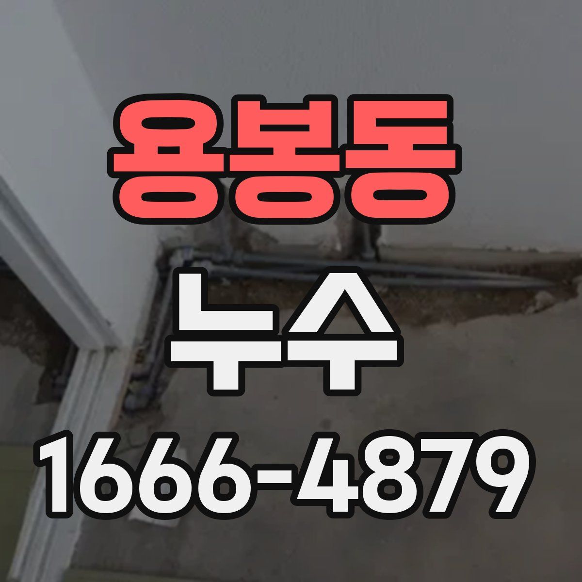 용봉동 누수
