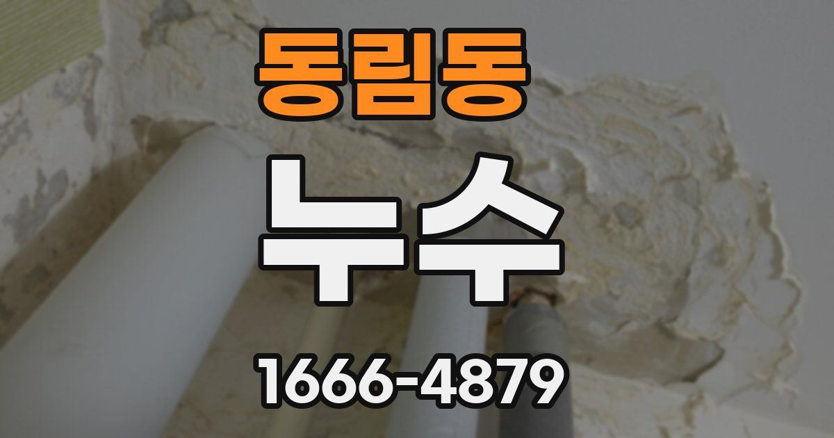 동림동 누수