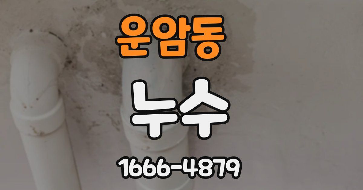 운암동 누수