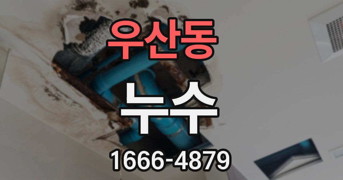 우산동 누수