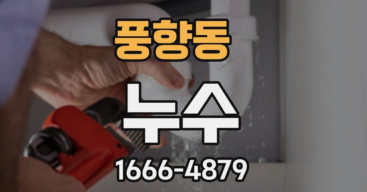 풍향동 누수