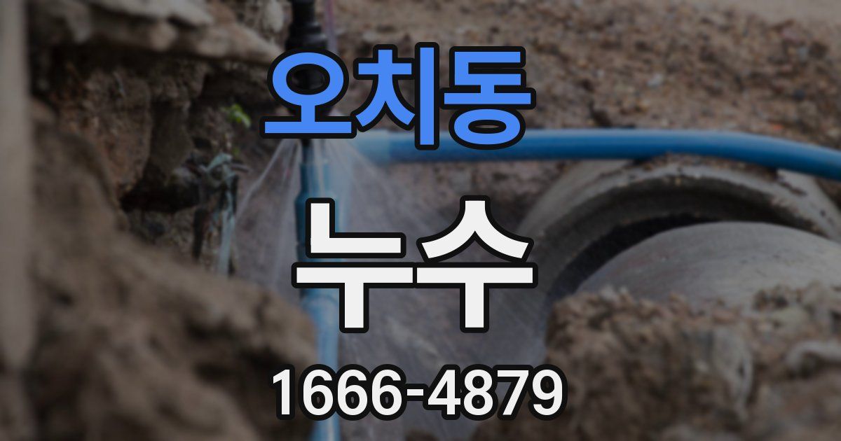오치동 누수