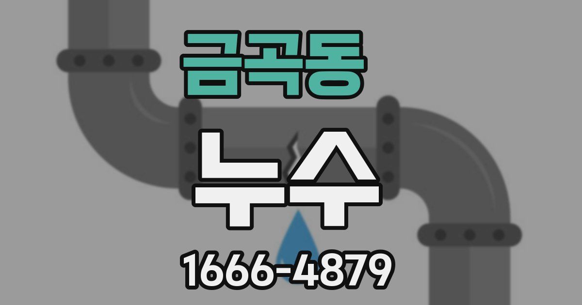 금곡동 누수