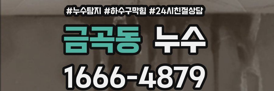 금곡동 누수