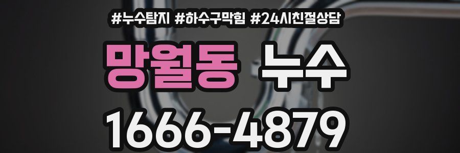 망월동 누수