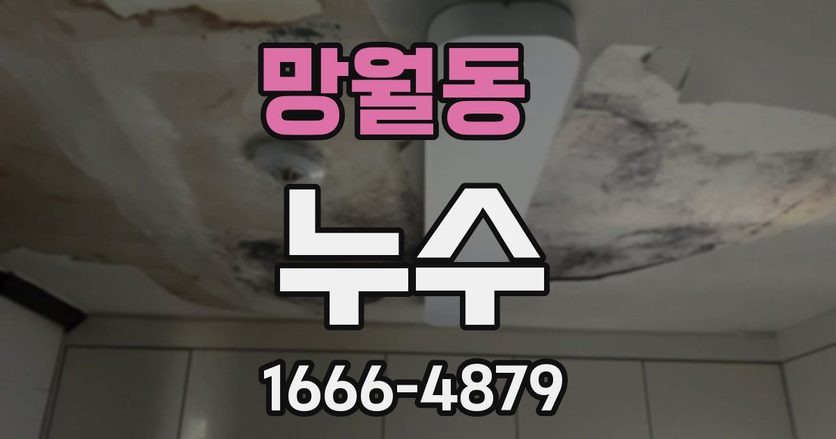 망월동 누수