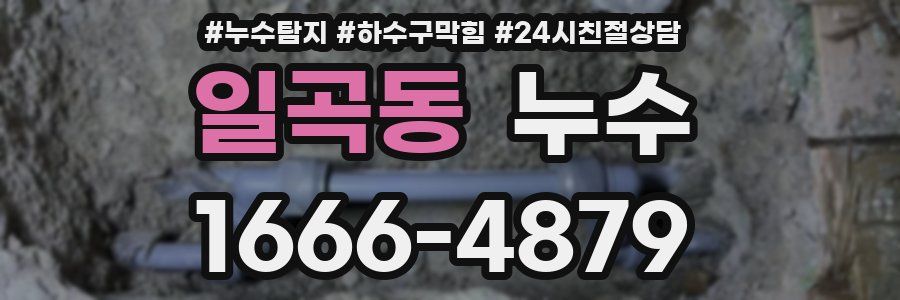 일곡동 누수