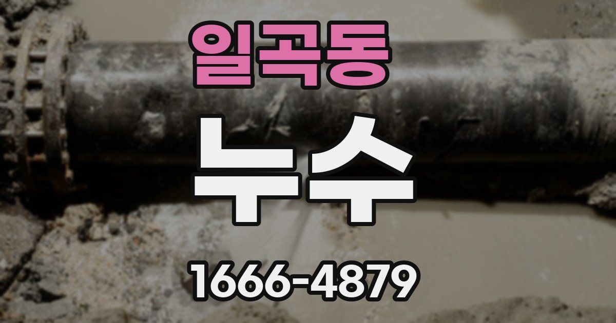 일곡동 누수