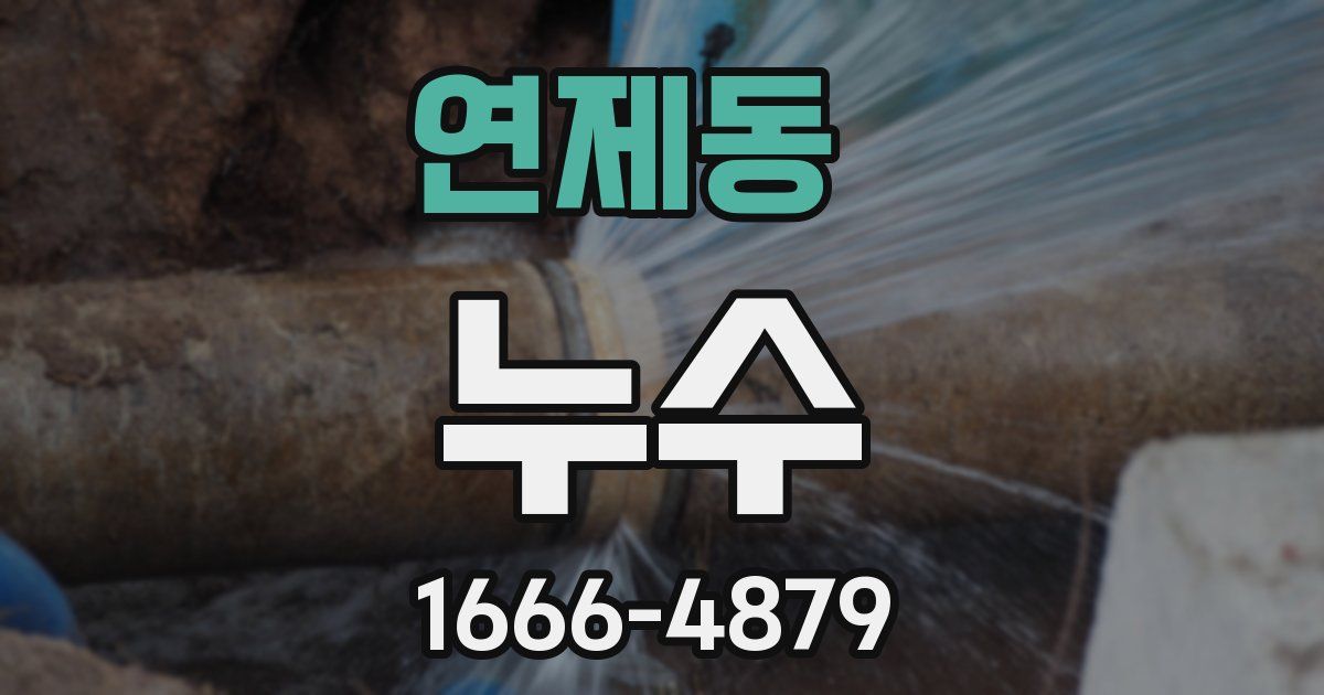 연제동 누수