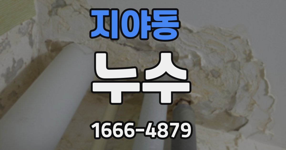 지야동 누수