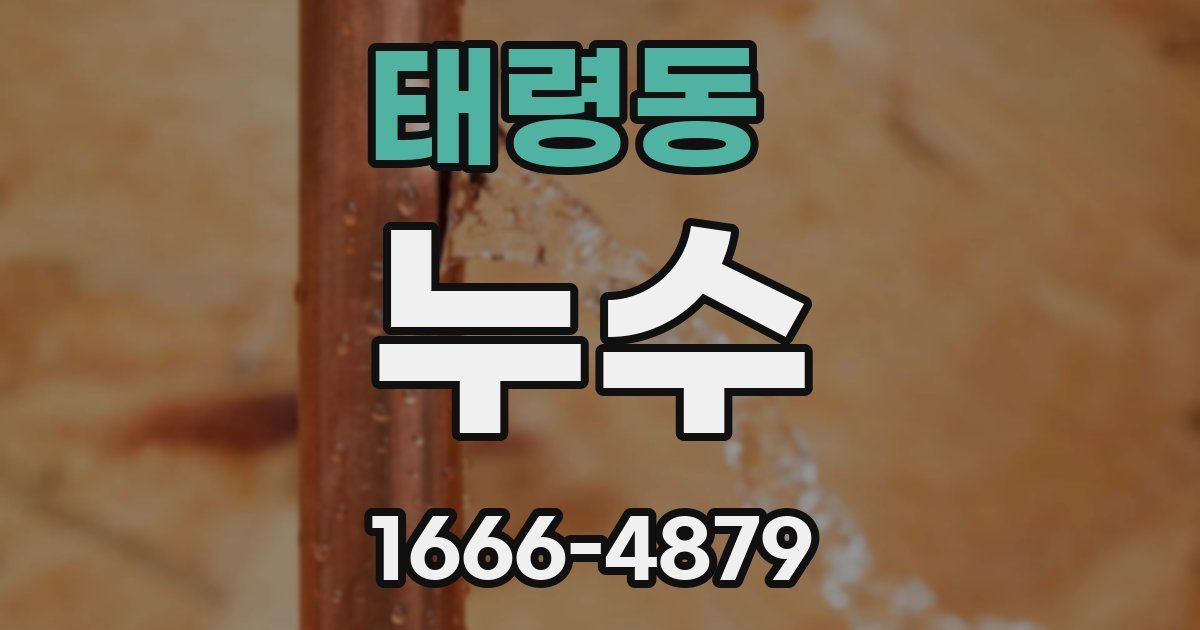 태령동 누수