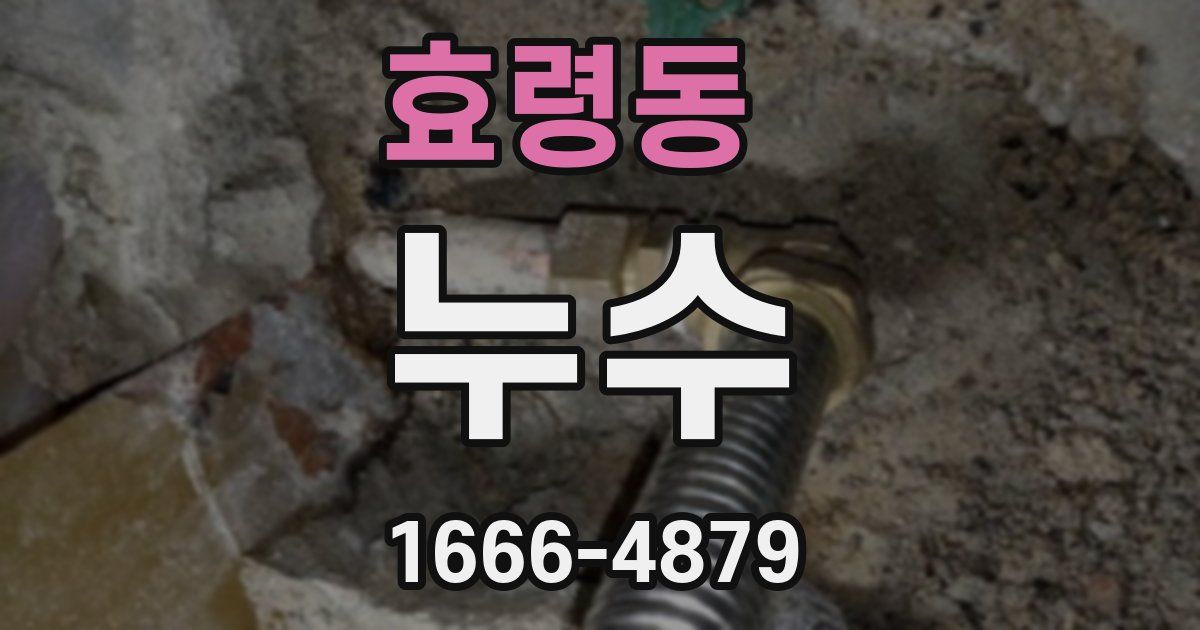 효령동 누수