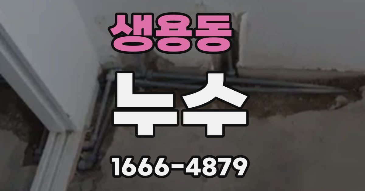생용동 누수
