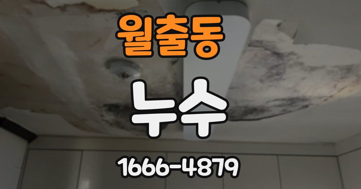 월출동 누수
