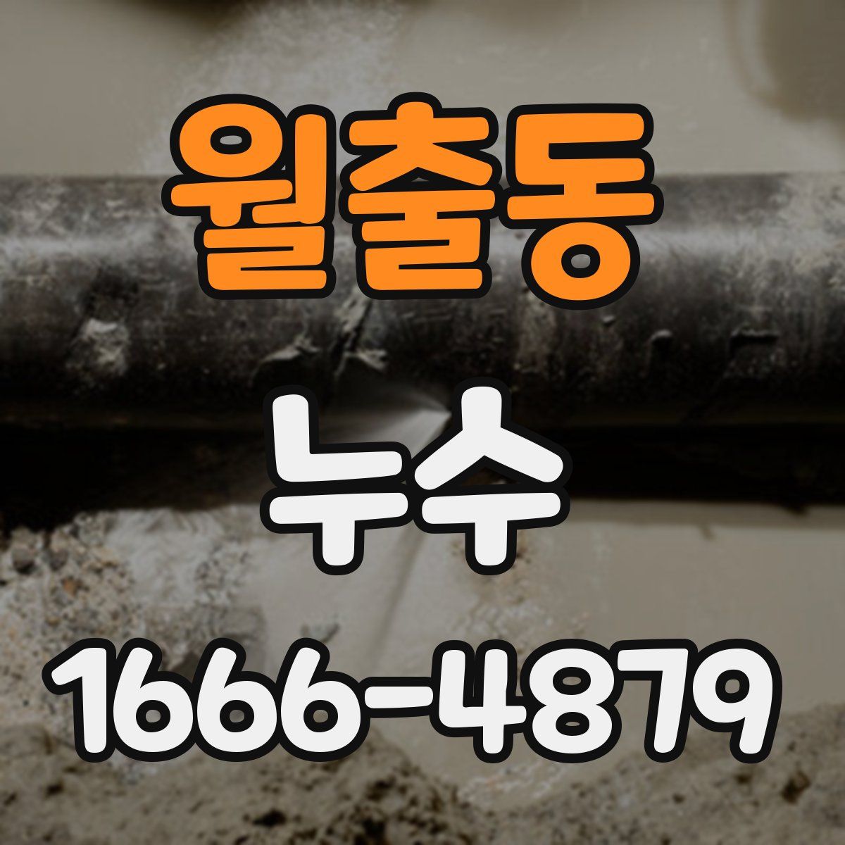 월출동 누수