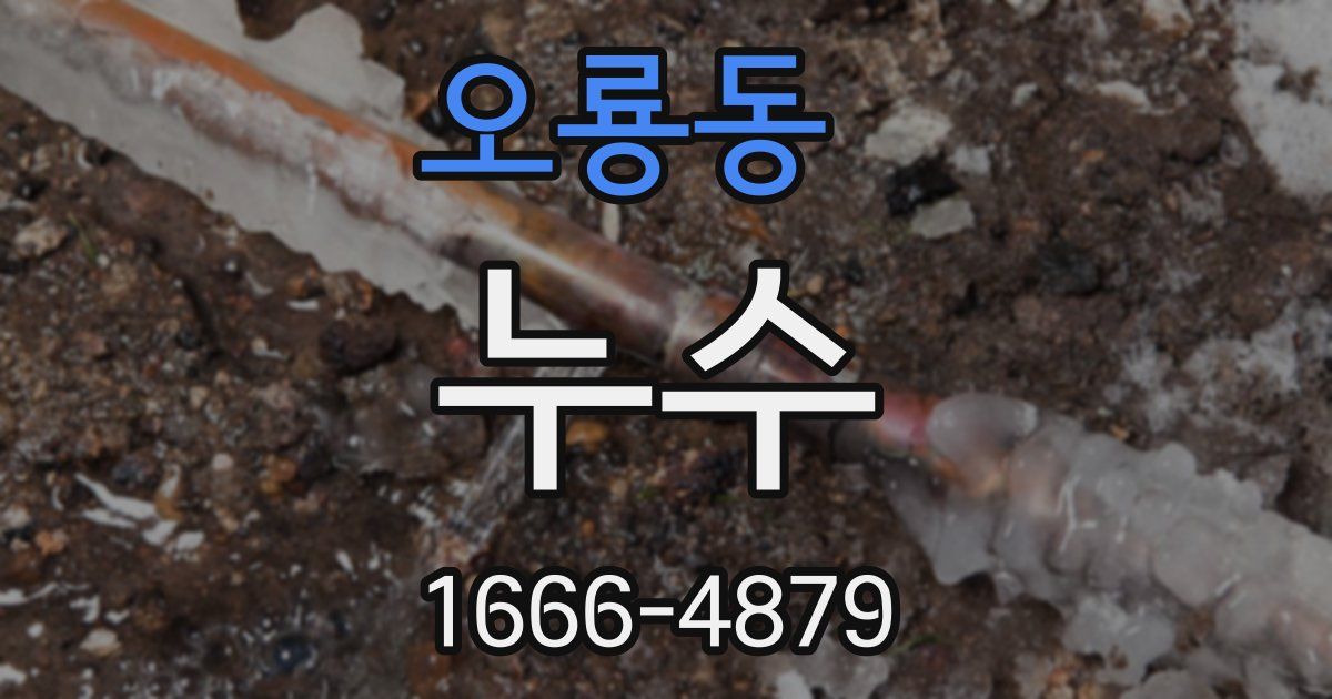 오룡동 누수