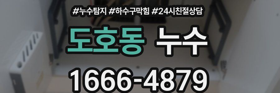 도호동 누수