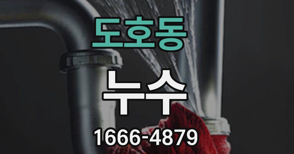 도호동 누수