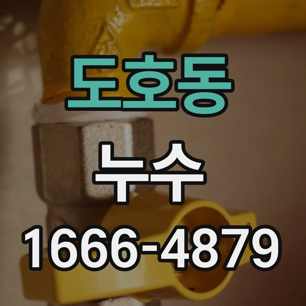 도호동 누수