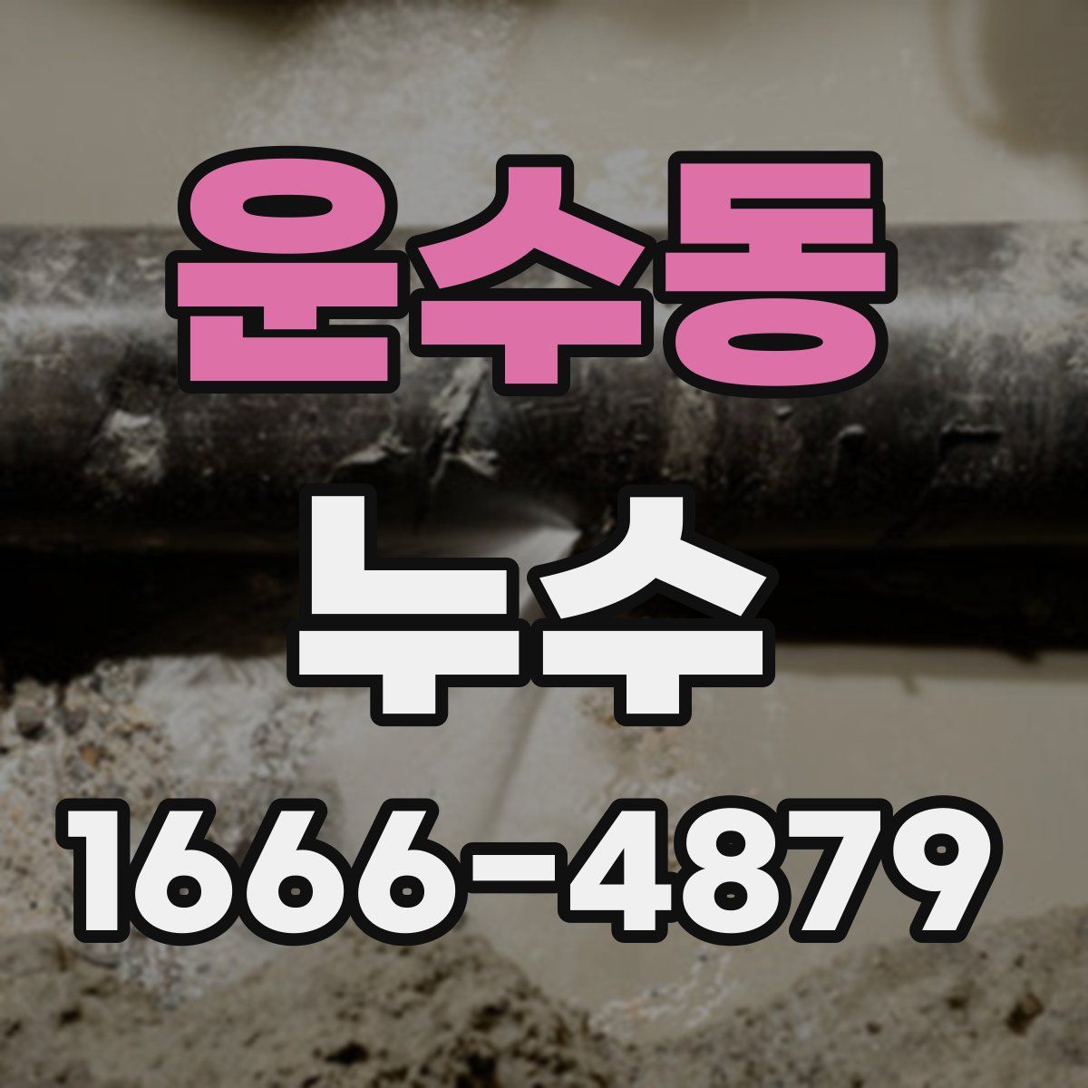 운수동 누수
