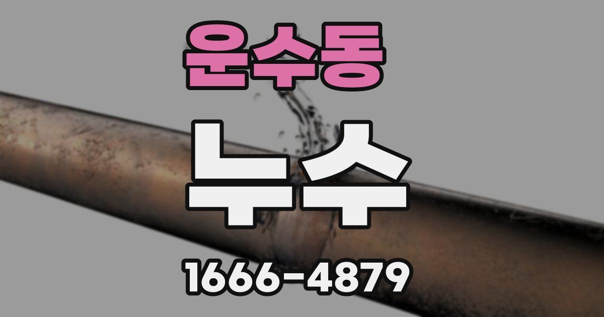 운수동 누수