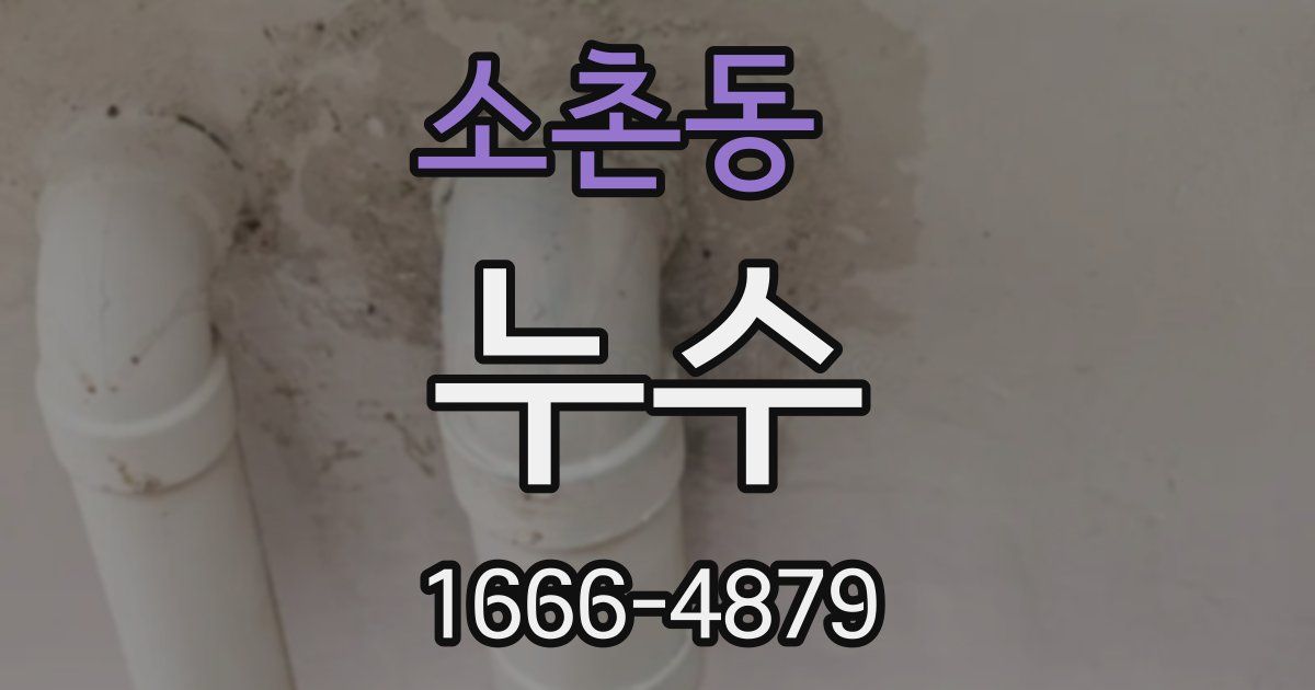 소촌동 누수