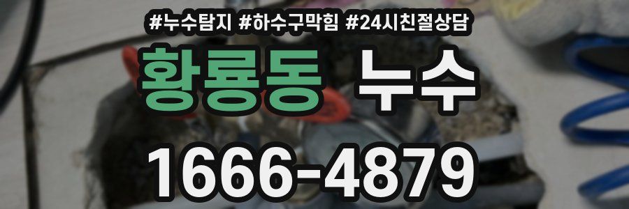 황룡동 누수