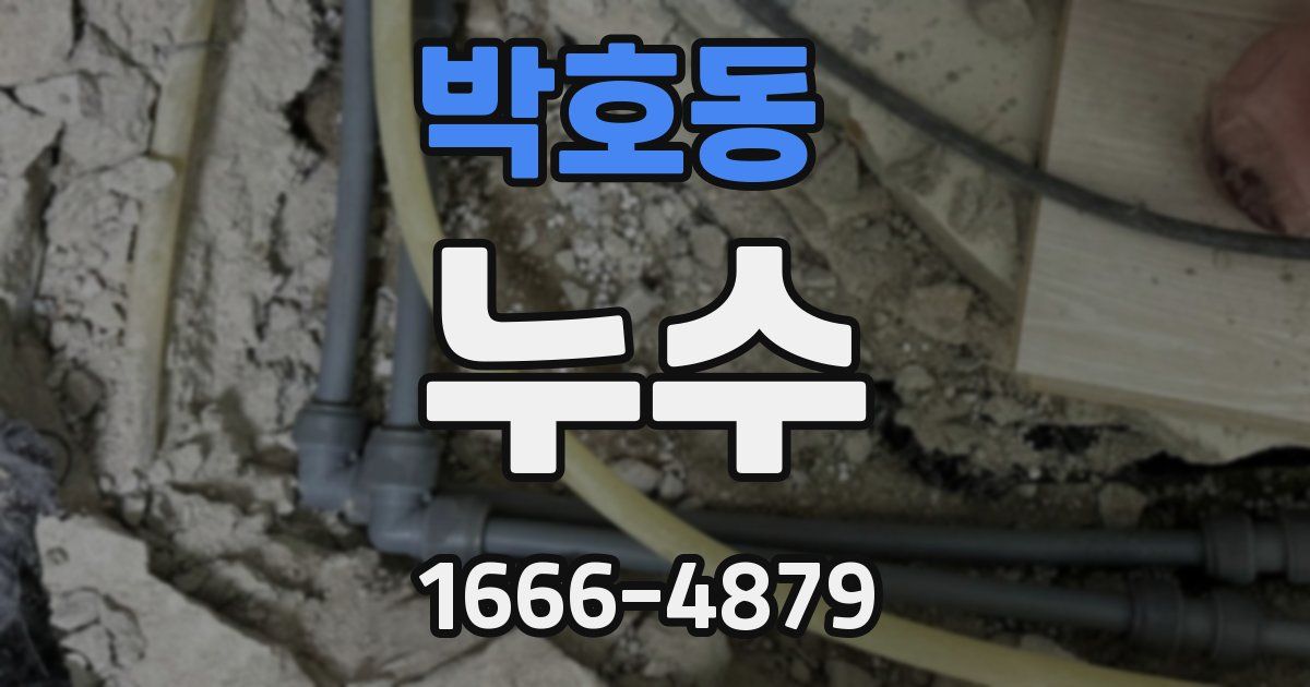 박호동 누수
