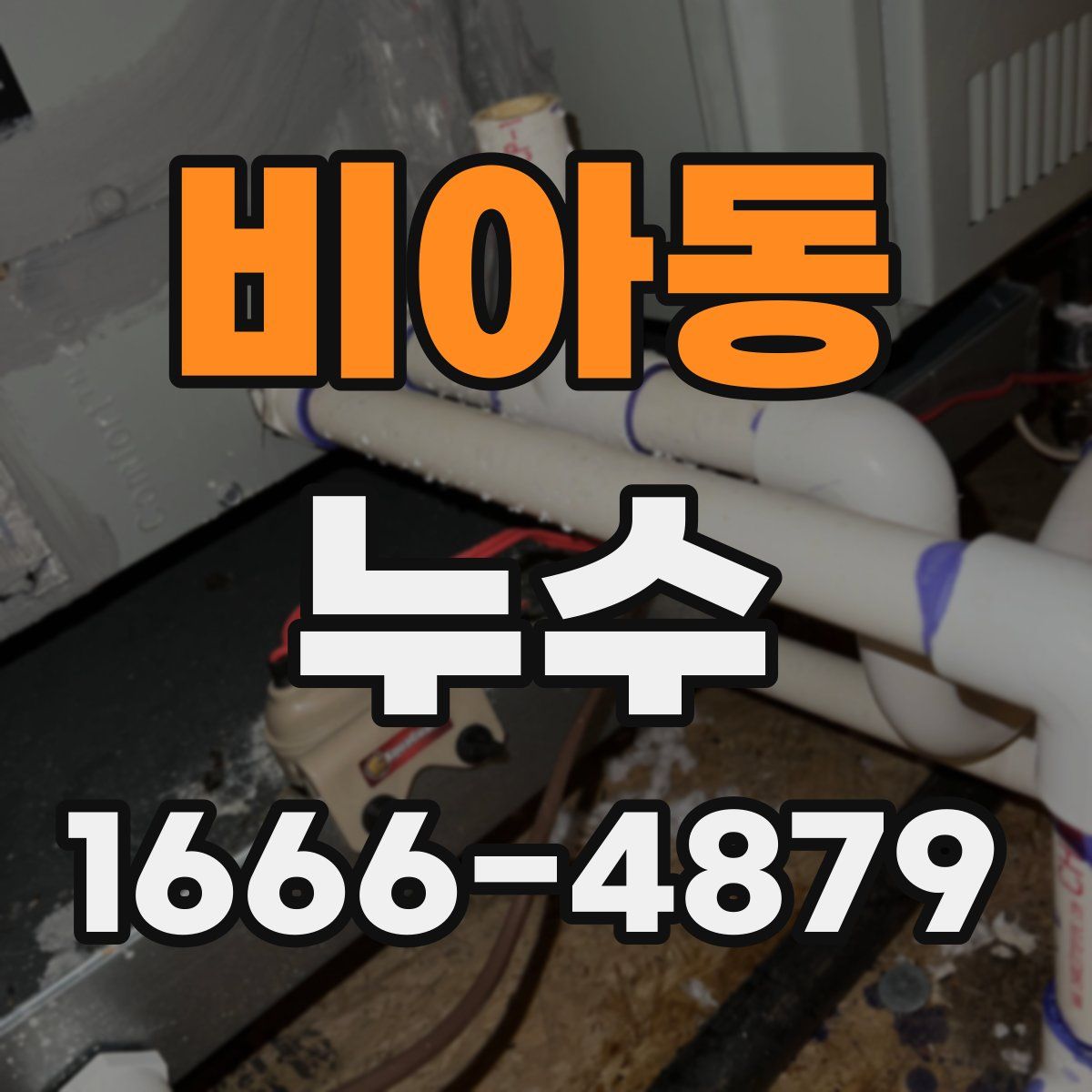 비아동 누수