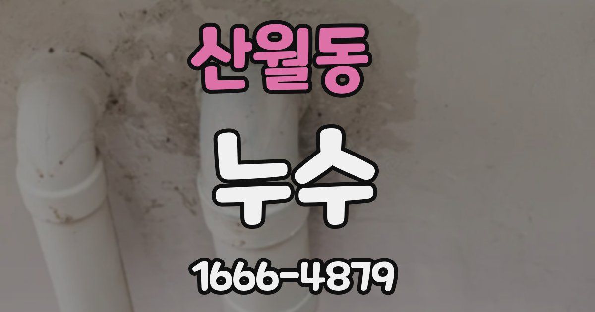 산월동 누수