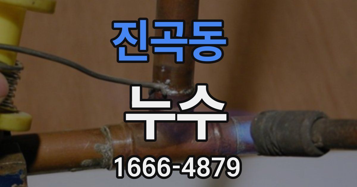 진곡동 누수
