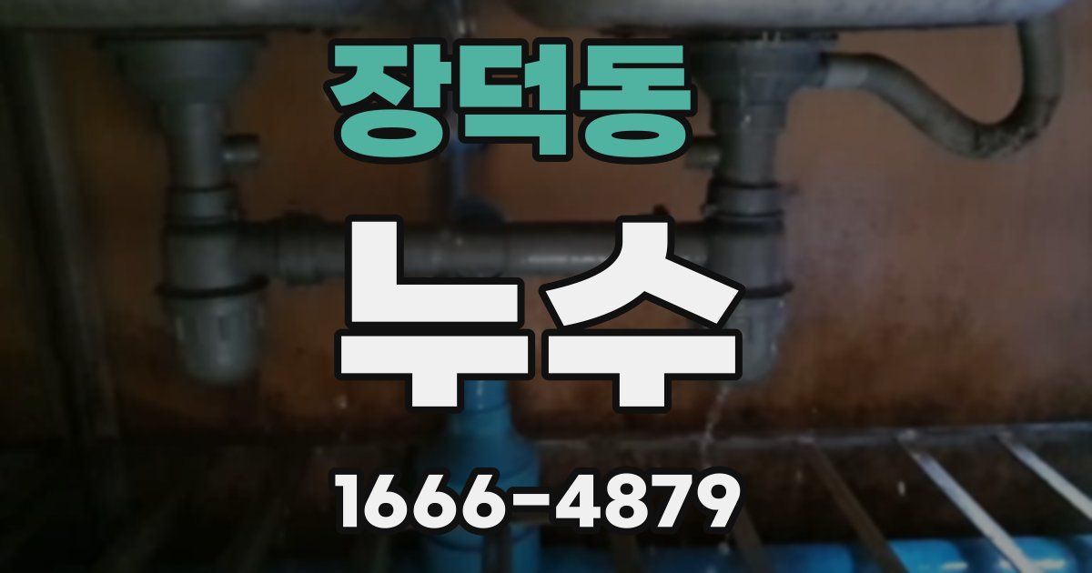 장덕동 누수