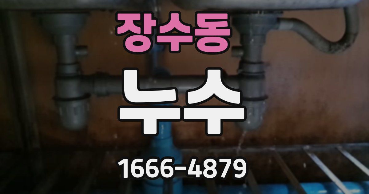 장수동 누수
